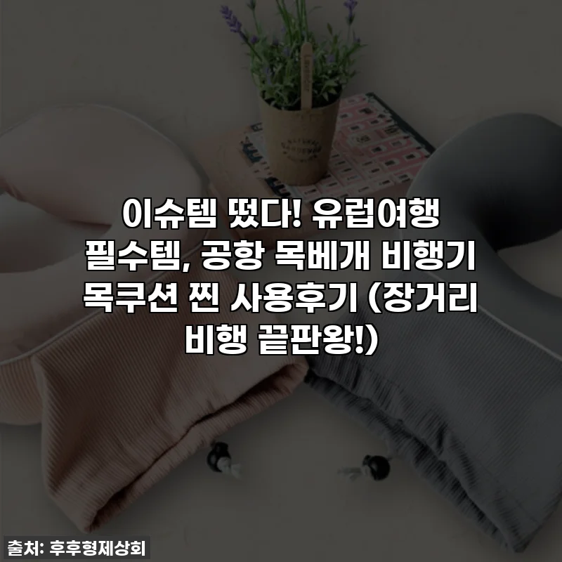 이슈템 떴다! 유럽여행 필수템, 공항 목베개 비행기 목쿠션 찐 사용후기 (장거리 비행 끝판왕!)