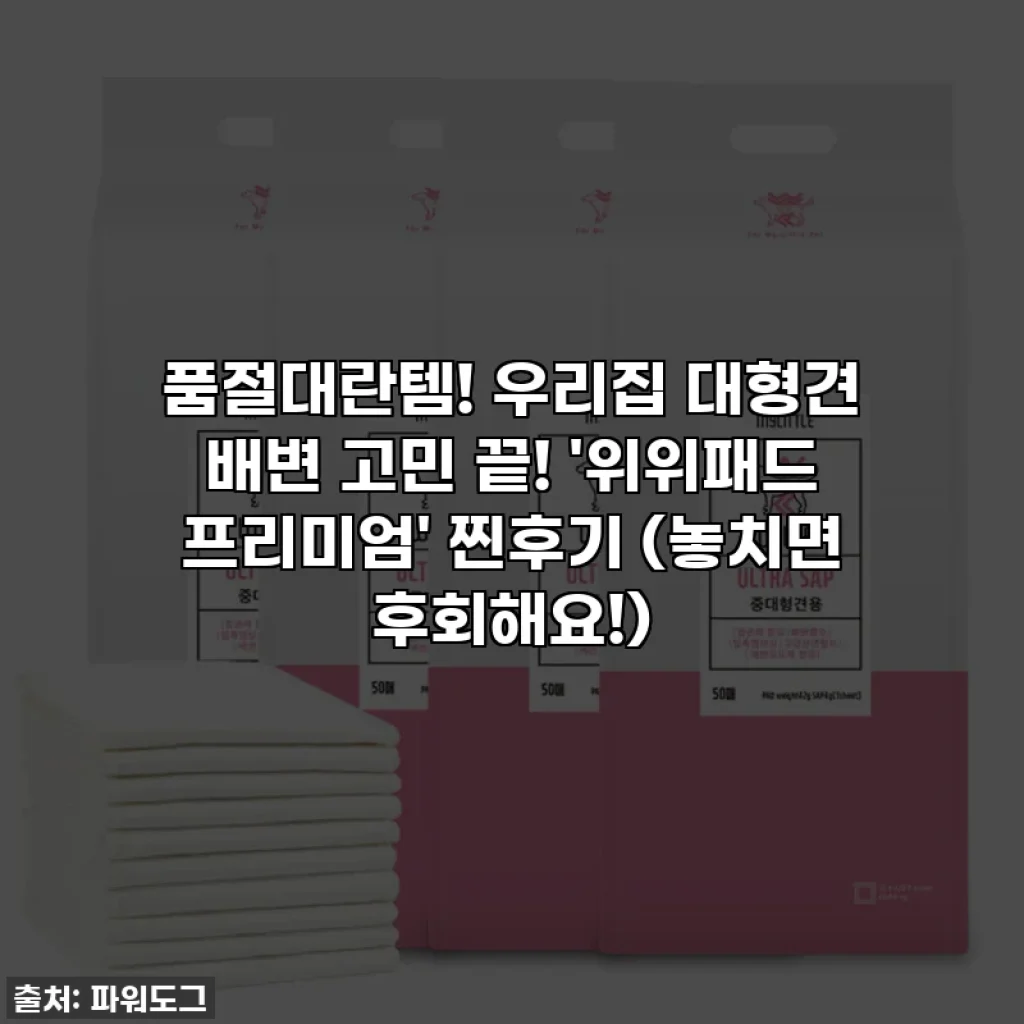 품절대란템! 우리집 대형견 배변 고민 끝! '위위패드 프리미엄' 찐후기 (놓치면 후회해요!)