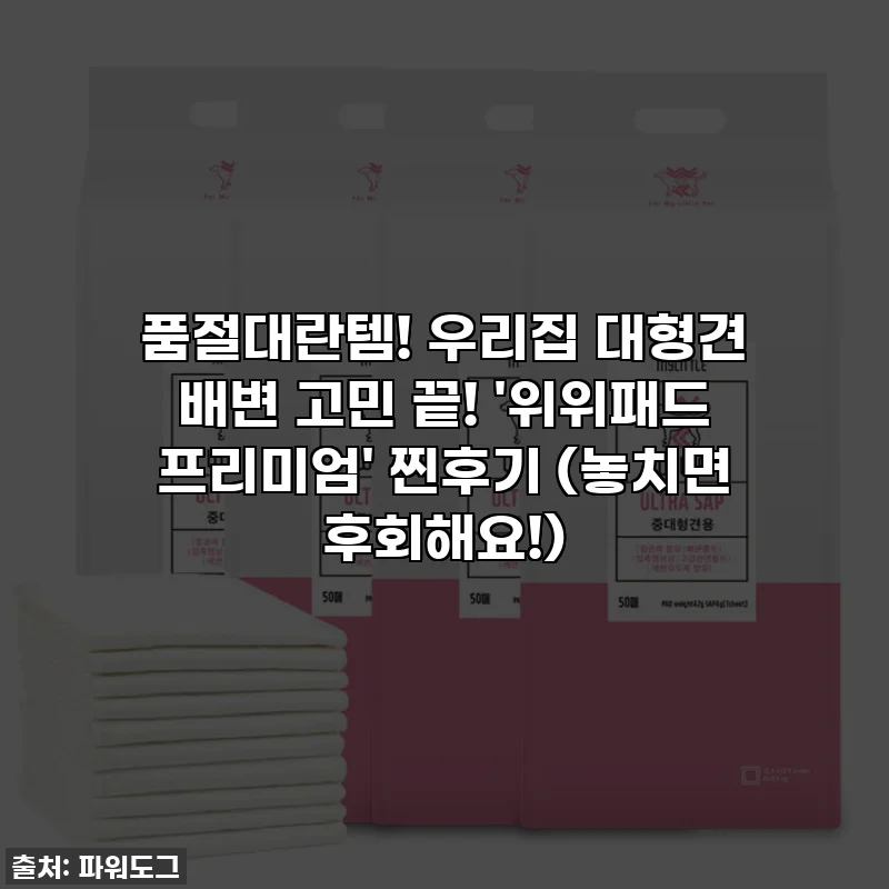 품절대란템! 우리집 대형견 배변 고민 끝! '위위패드 프리미엄' 찐후기 (놓치면 후회해요!)