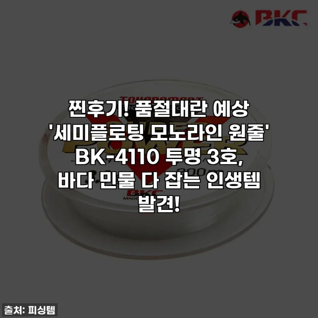 찐후기! 품절대란 예상 '세미플로팅 모노라인 원줄' BK-4110 투명 3호, 바다 민물 다 잡는 인생템 발견!