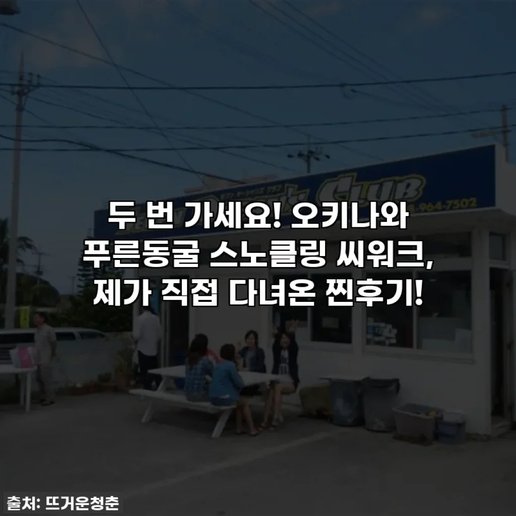 두 번 가세요! 오키나와 푸른동굴 스노클링 씨워크, 제가 직접 다녀온 찐후기!