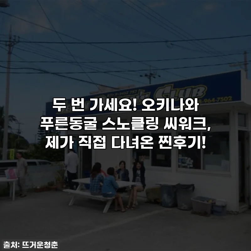 두 번 가세요! 오키나와 푸른동굴 스노클링 씨워크, 제가 직접 다녀온 찐후기!