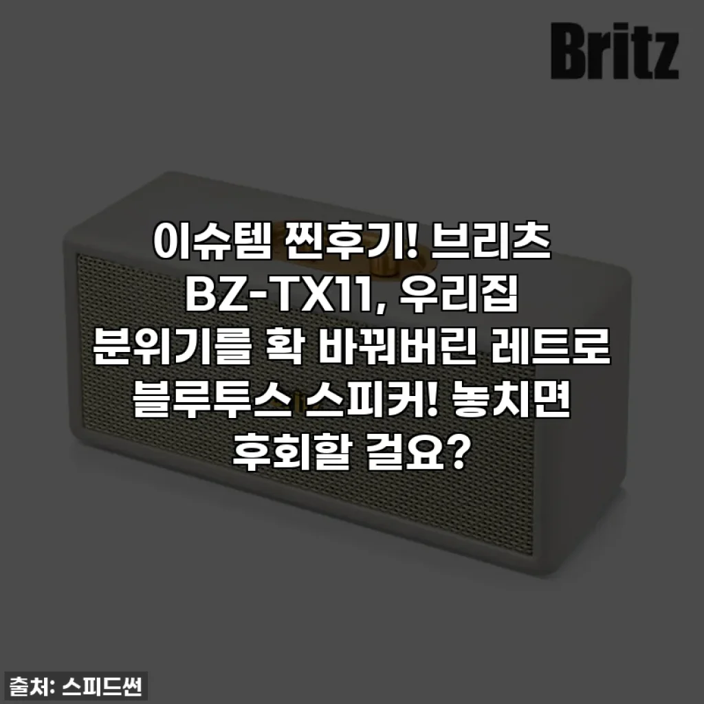 이슈템 찐후기! 브리츠 BZ-TX11, 우리집 분위기를 확 바꿔버린 레트로 블루투스 스피커! 놓치면 후회할 걸요?