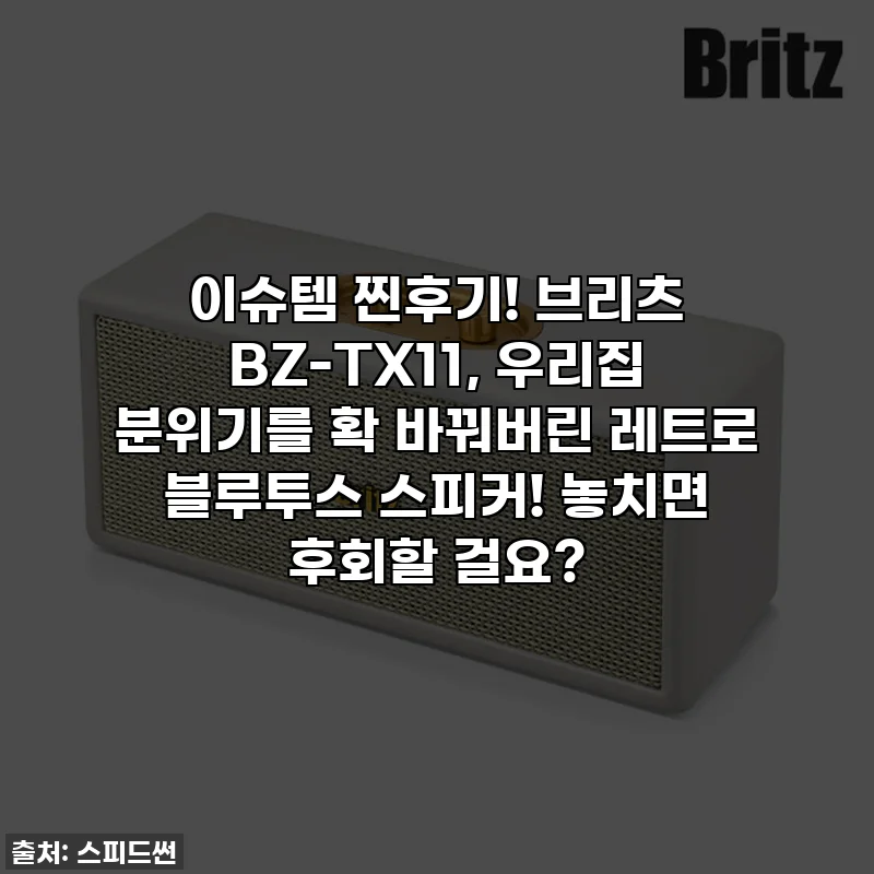 이슈템 찐후기! 브리츠 BZ-TX11, 우리집 분위기를 확 바꿔버린 레트로 블루투스 스피커! 놓치면 후회할 걸요?