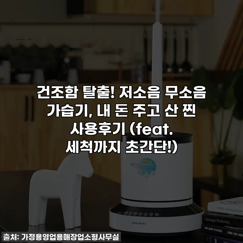 건조함 탈출! 저소음 무소음 가습기, 내 돈 주고 산 찐 사용후기 (feat. 세척까지 초간단!)