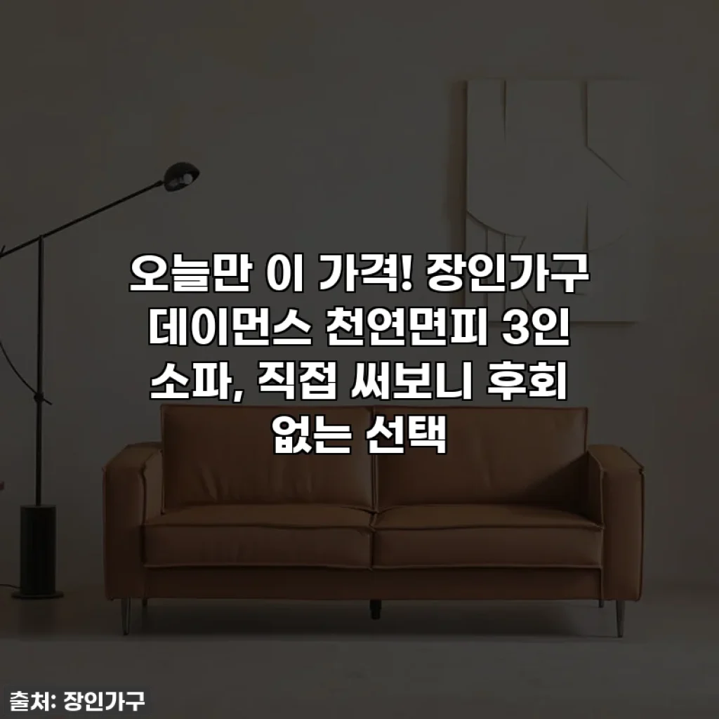 오늘만 이 가격! 장인가구 데이먼스 천연면피 3인 소파, 직접 써보니 후회 없는 선택