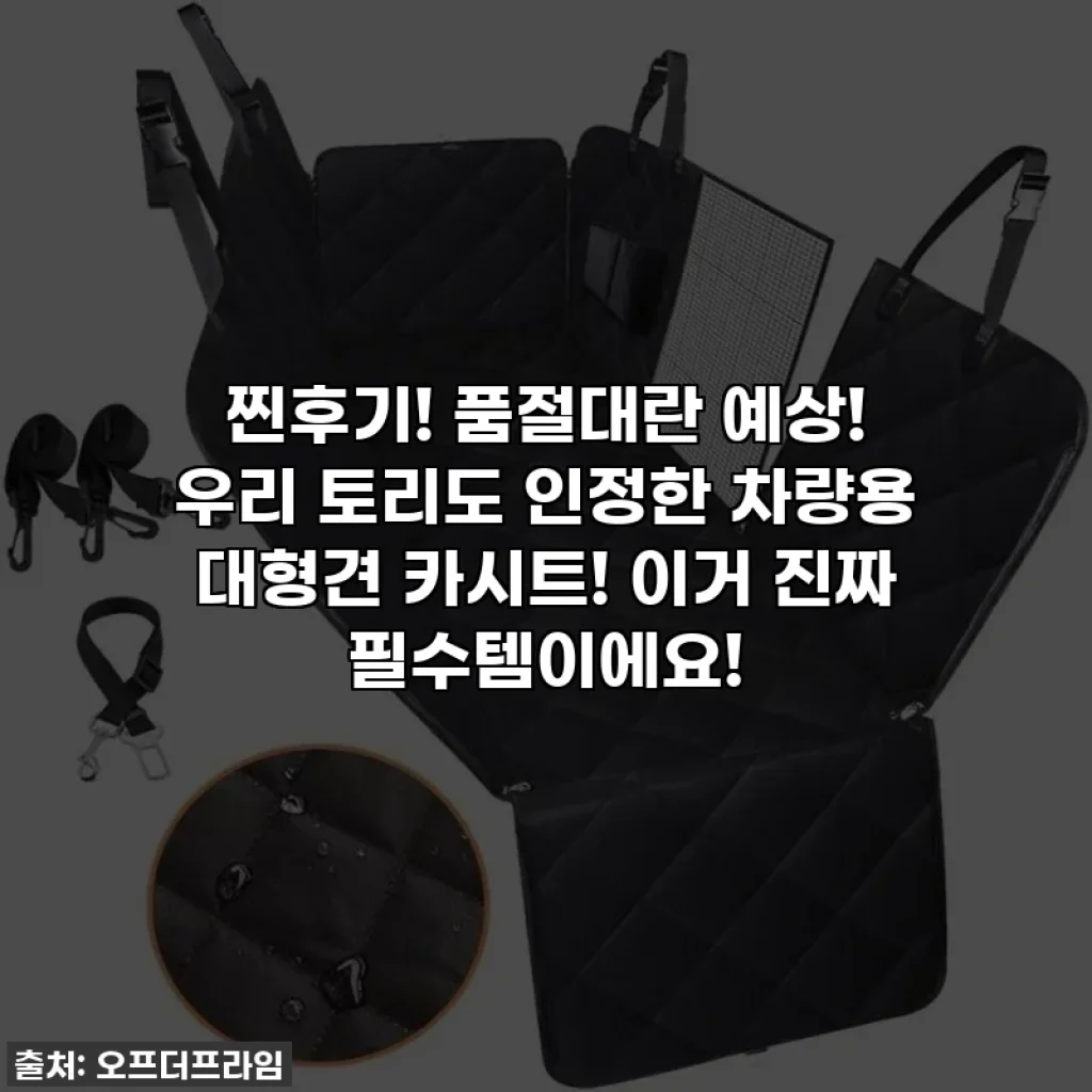 찐후기! 품절대란 예상! 우리 토리도 인정한 차량용 대형견 카시트! 이거 진짜 필수템이에요!