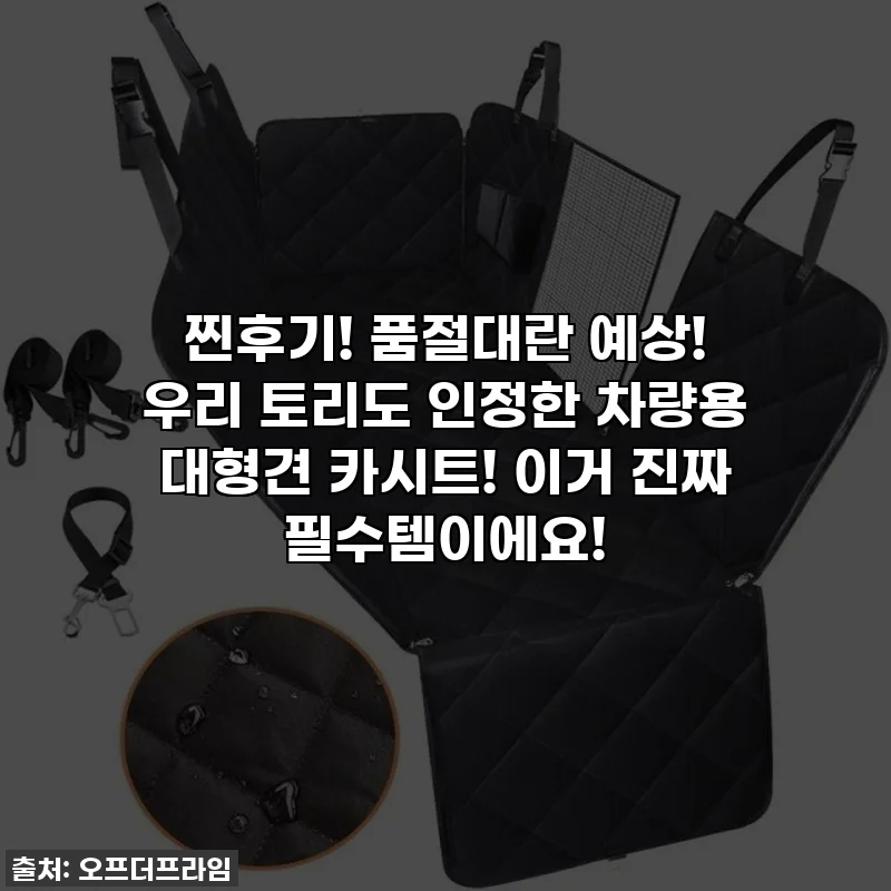 찐후기! 품절대란 예상! 우리 토리도 인정한 차량용 대형견 카시트! 이거 진짜 필수템이에요!