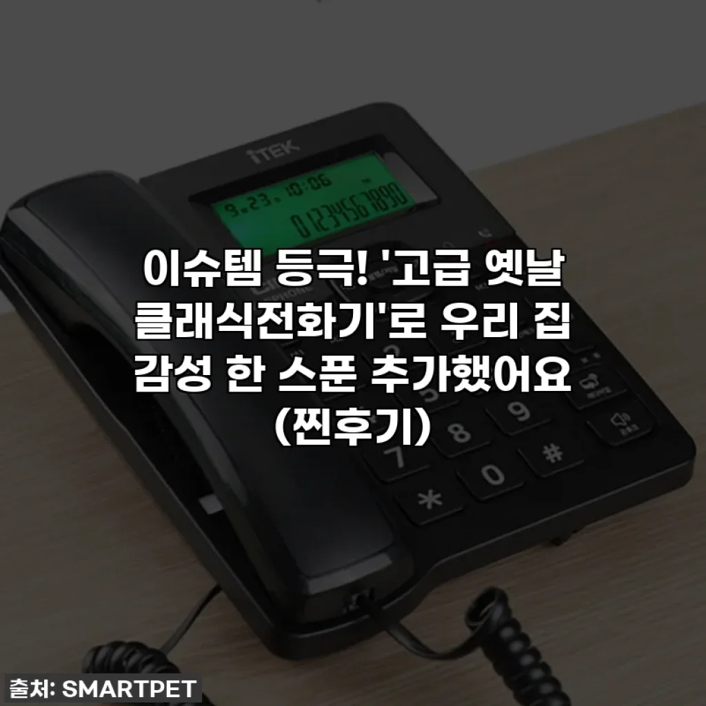 이슈템 등극! '고급 옛날 클래식전화기'로 우리 집 감성 한 스푼 추가했어요 (찐후기)