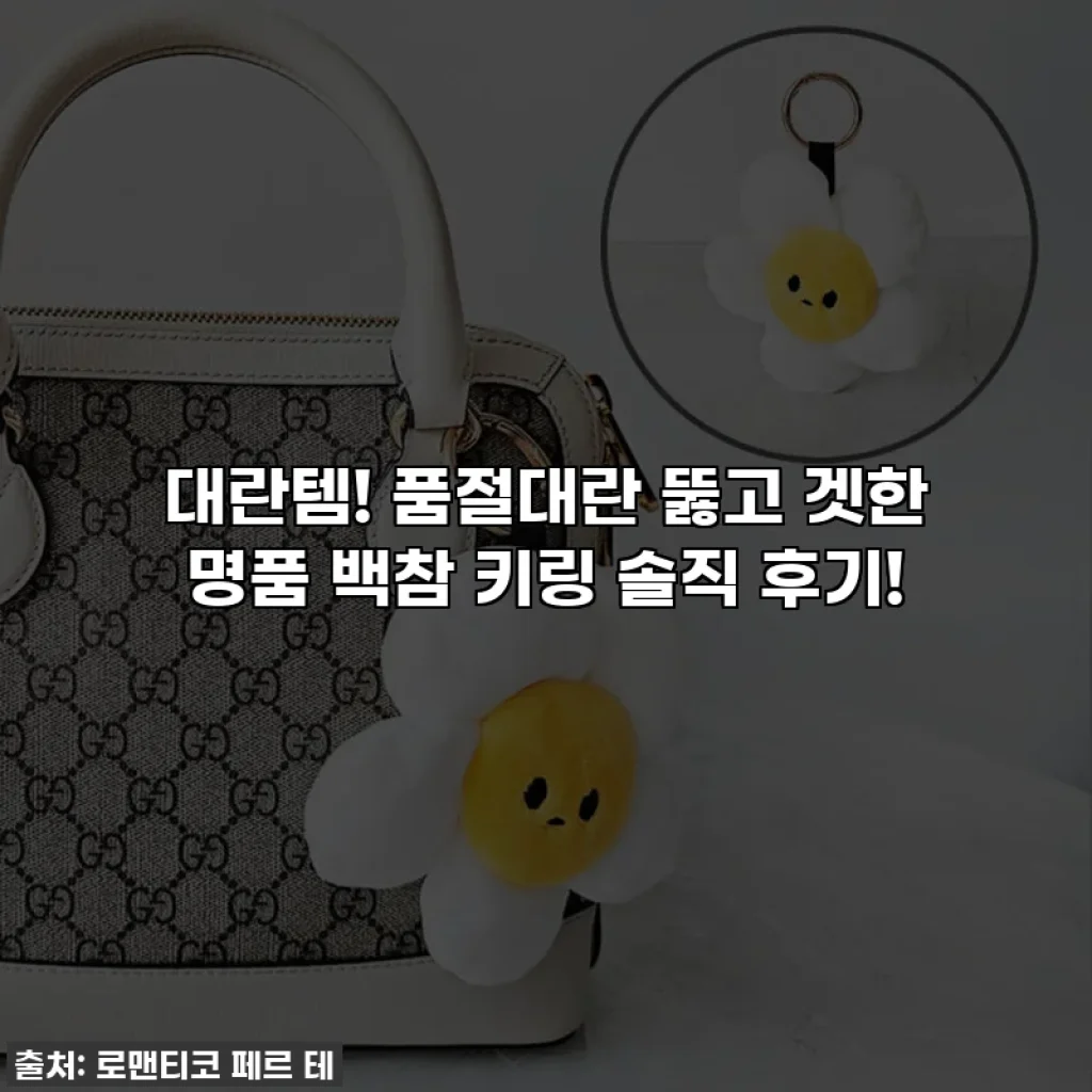 대란템! 품절대란 뚫고 겟한 명품 백참 키링 솔직 후기!