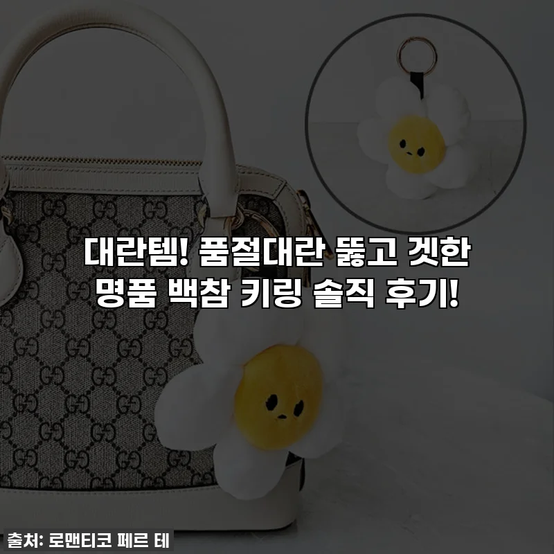 대란템! 품절대란 뚫고 겟한 명품 백참 키링 솔직 후기!