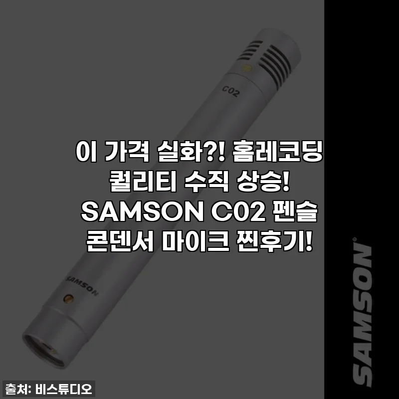 이 가격 실화?! 홈레코딩 퀄리티 수직 상승! SAMSON C02 펜슬 콘덴서 마이크 찐후기!