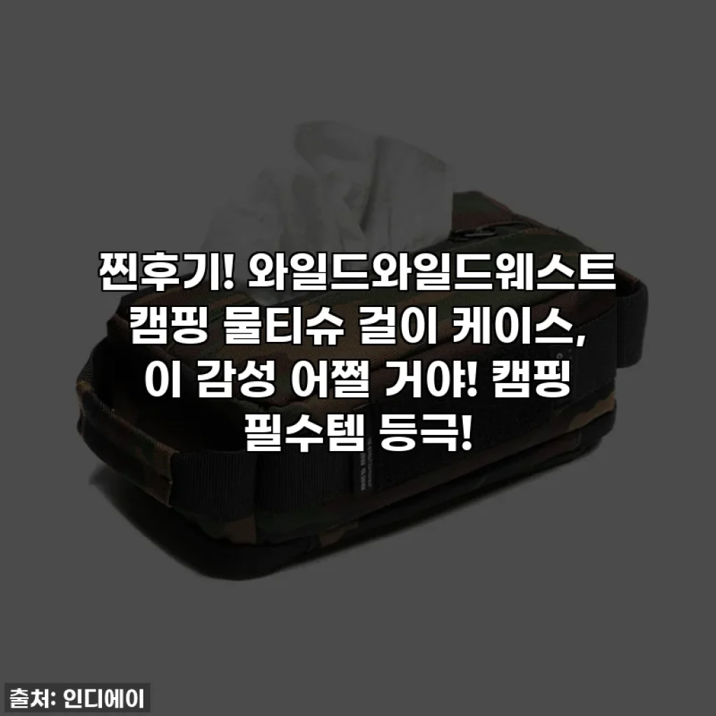 찐후기! 와일드와일드웨스트 캠핑 물티슈 걸이 케이스, 이 감성 어쩔 거야! 캠핑 필수템 등극!