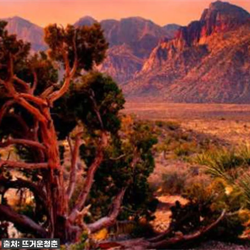 인생샷 폭발! 라스베가스 선셋 투어, 관련 이미지 1