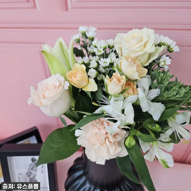 이 가격에 이 싱싱함 실화? 유스풀몰 관련 이미지 1