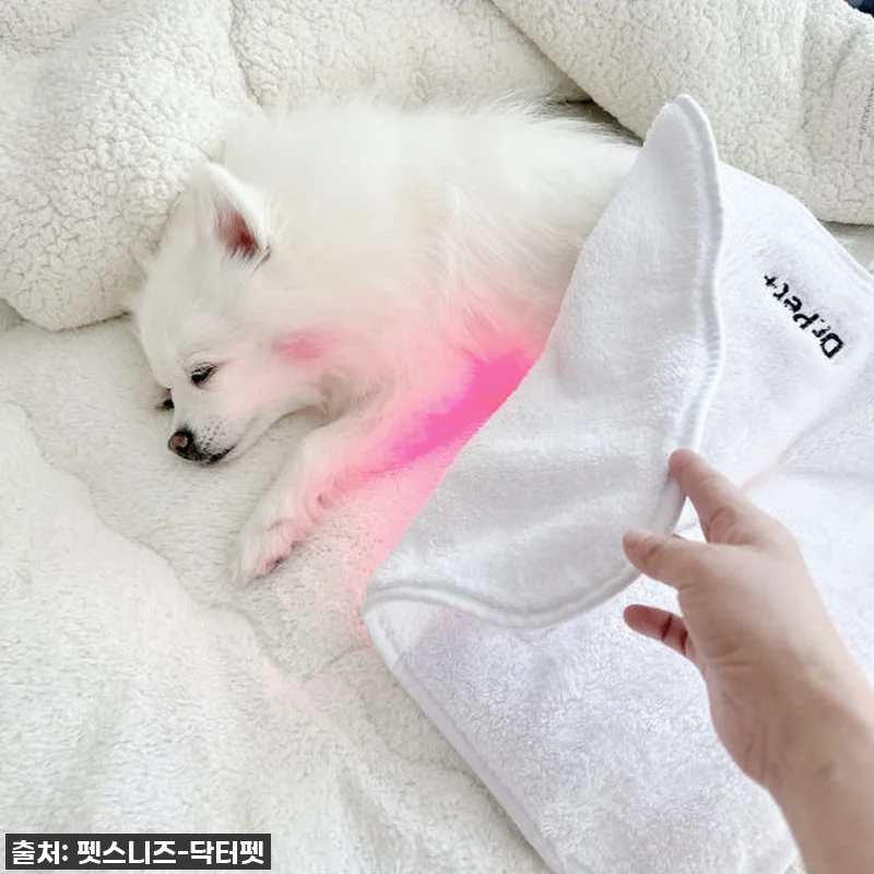 우리 아이 깡총깡총! 펫스니즈 닥터펫 관련 이미지 1