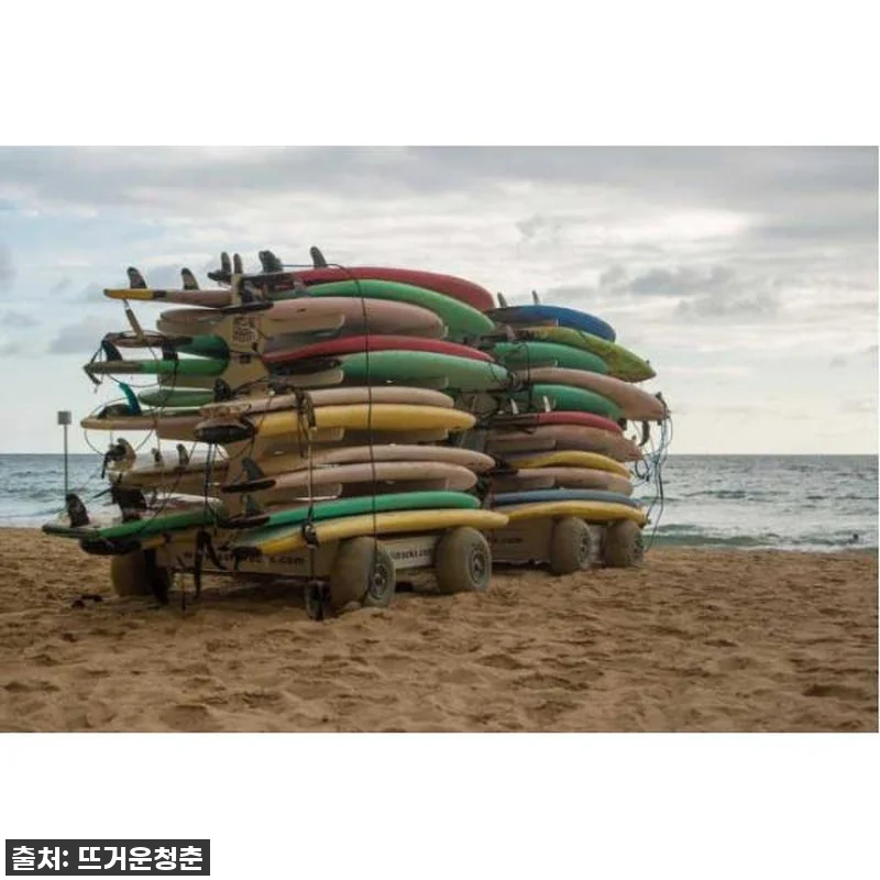 이 가격 실화?! 시드니 현지인 맞춤 관련 이미지 1