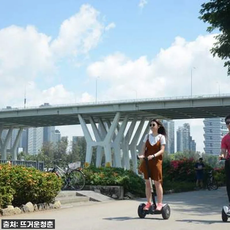 이슈템! 품절대란 싱가포르 마리나 베 관련 이미지 2