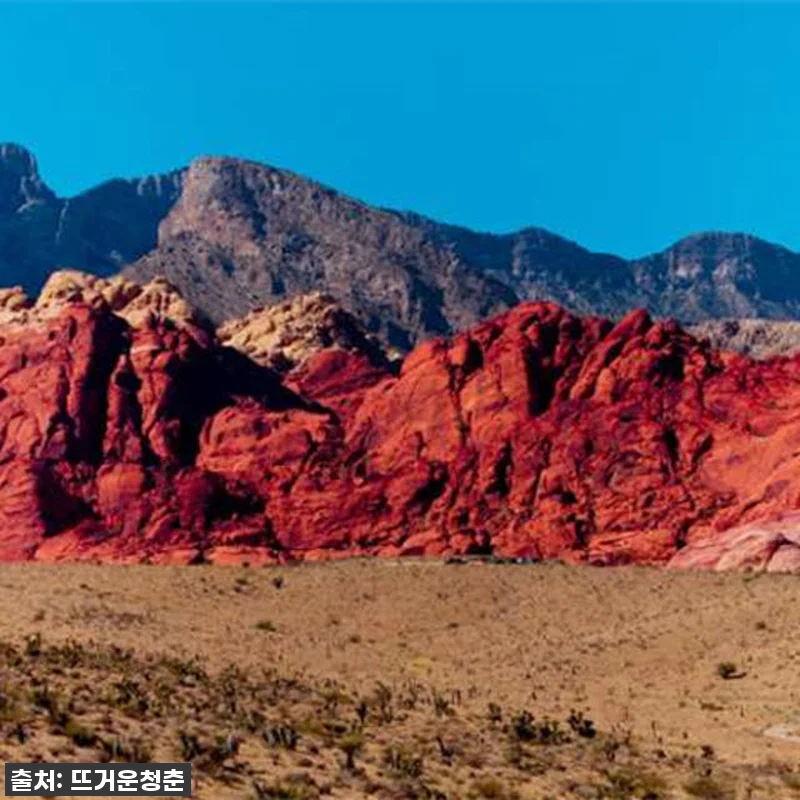 인생샷 폭발! 라스베가스 선셋 투어, 관련 이미지 2