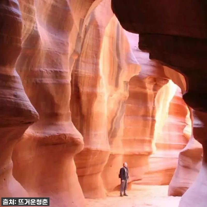 인생 버킷리스트 완전 정복! 라스베이 관련 이미지 2