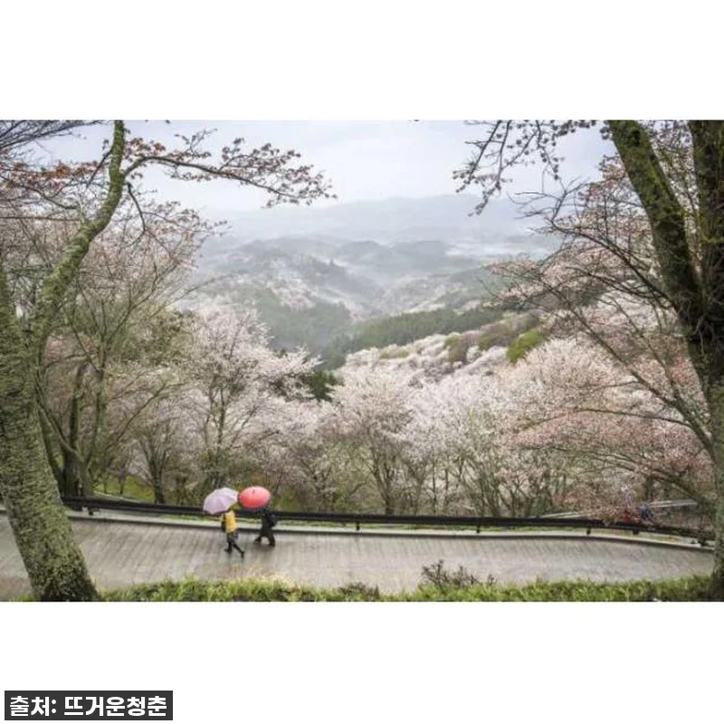 오직 나만을 위한 특별함! '일본 현 관련 이미지 2