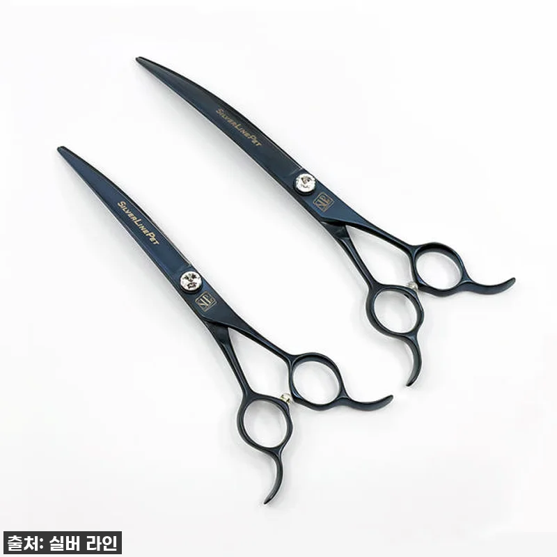 우리집 댕댕이 미용, 미용실 맡기지 관련 이미지 1