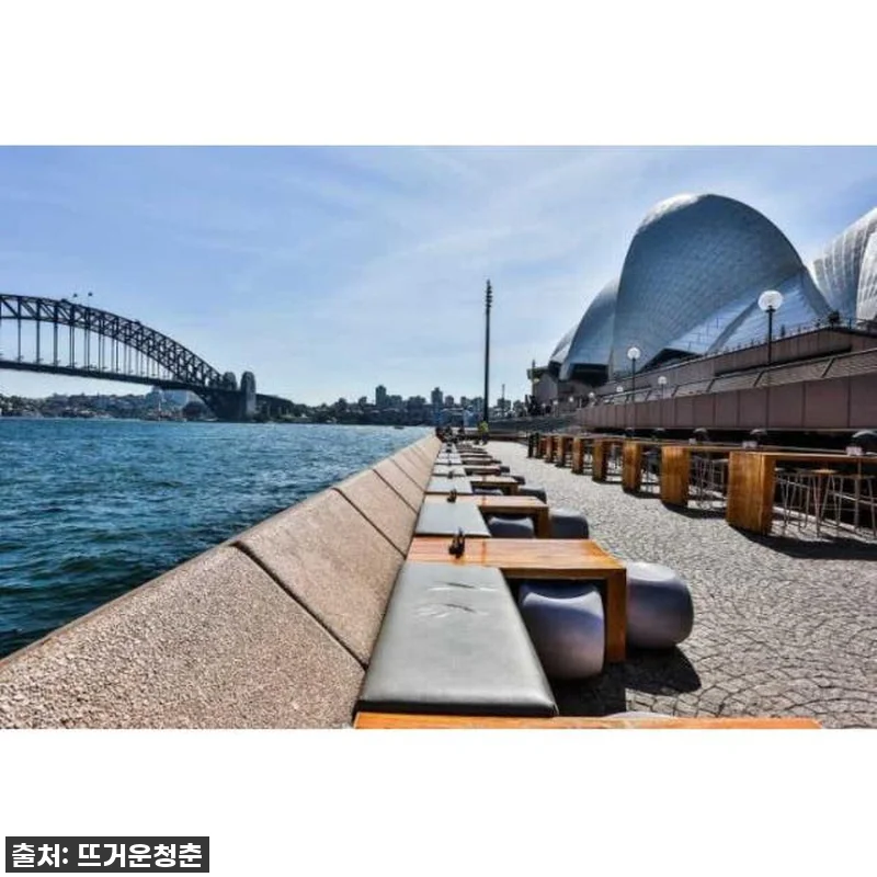 이 가격 실화?! 시드니 현지인 맞춤 관련 이미지 2