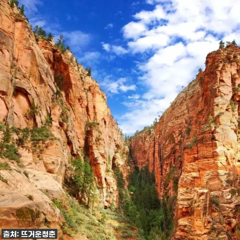 인생 버킷리스트 완전 정복! 라스베이 관련 이미지 3