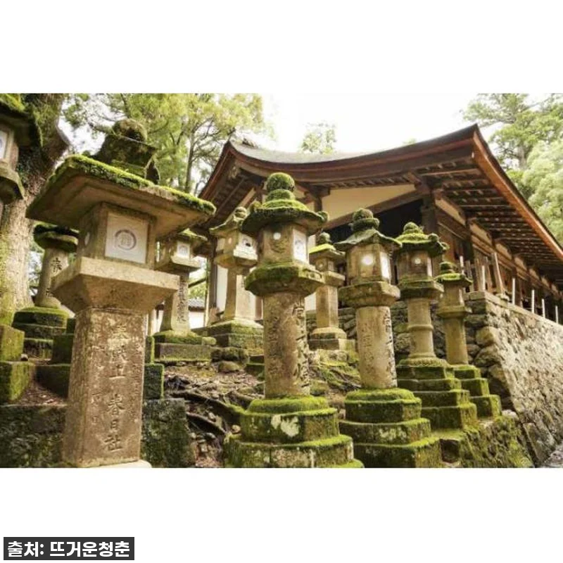 오직 나만을 위한 특별함! '일본 현 관련 이미지 3