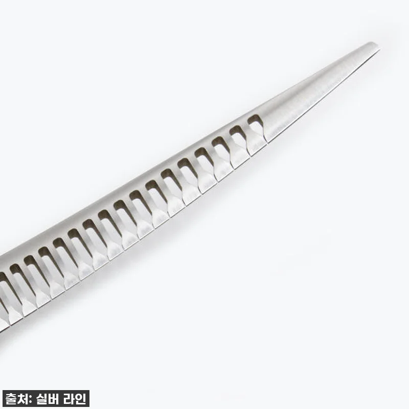 우리집 댕댕이 미용, 미용실 맡기지 관련 이미지 2