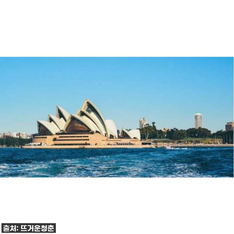 이 가격 실화?! 시드니 현지인 맞춤 관련 이미지 3