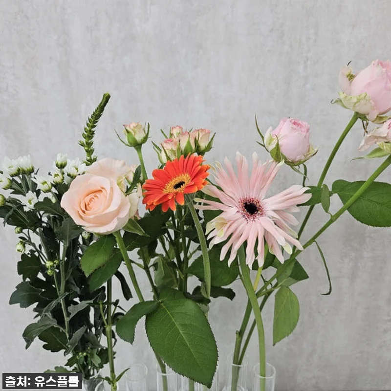 이 가격에 이 싱싱함 실화? 유스풀몰 관련 이미지 4