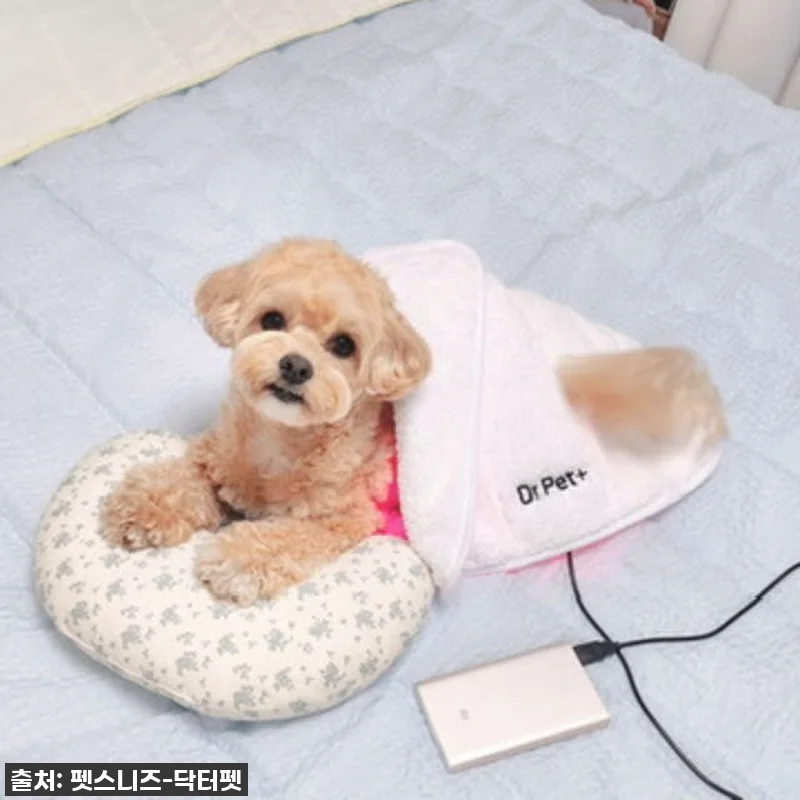 우리 아이 깡총깡총! 펫스니즈 닥터펫 관련 이미지 4