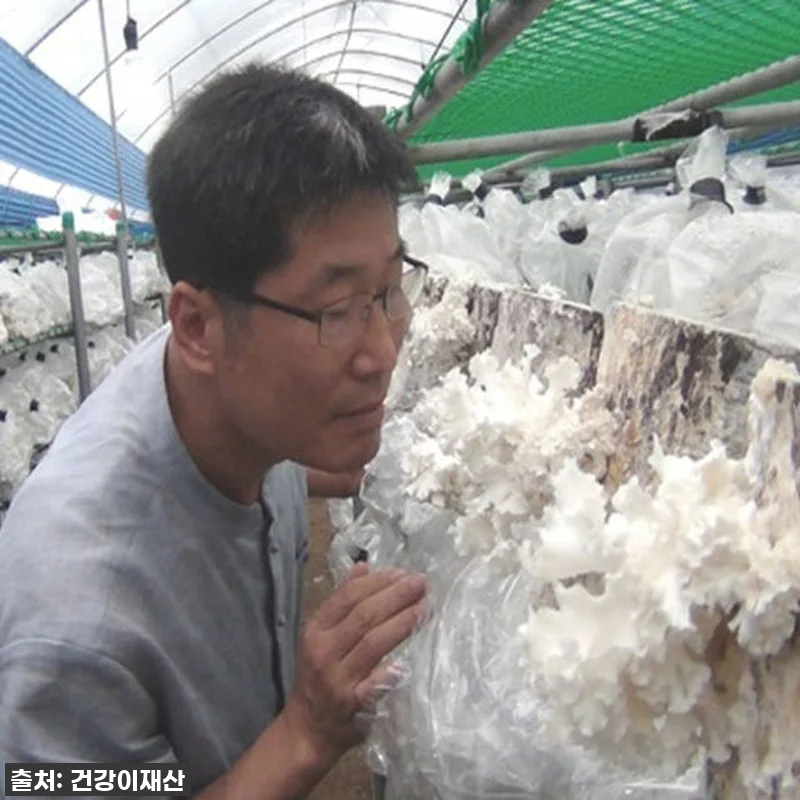 "이거 없으면 불안해!" 속 편안함의 관련 이미지 4