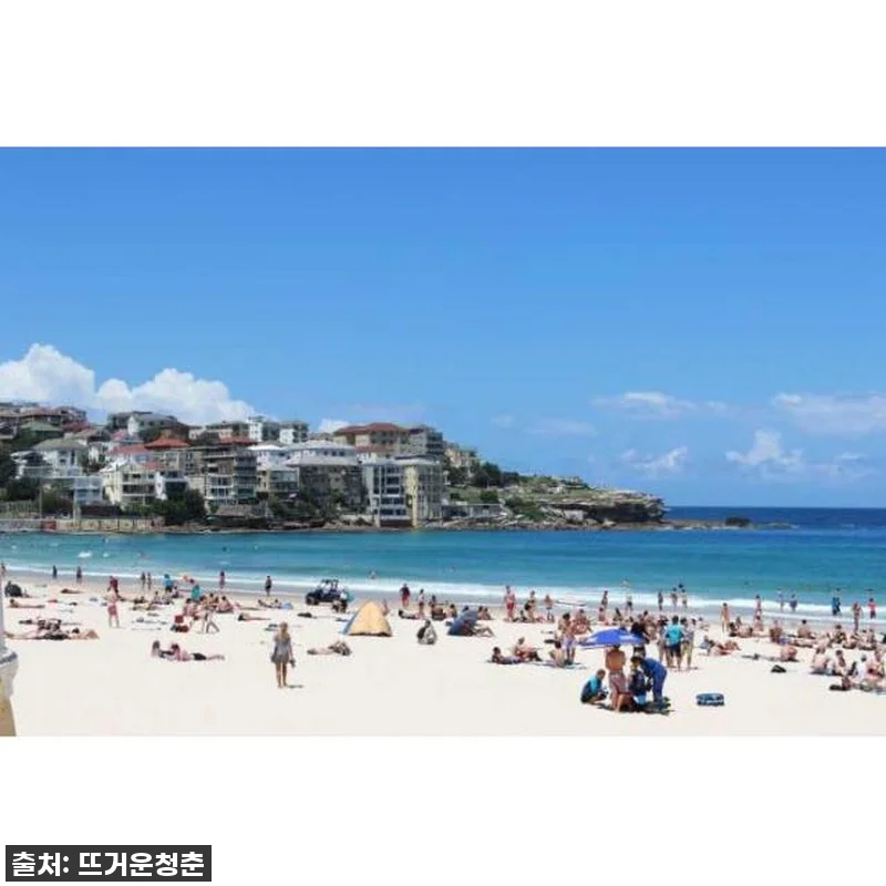 이 가격 실화?! 시드니 현지인 맞춤 관련 이미지 4