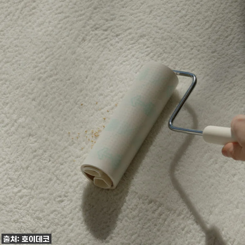 이 가격 실화?! 호이데코 코지 비정 관련 이미지 5