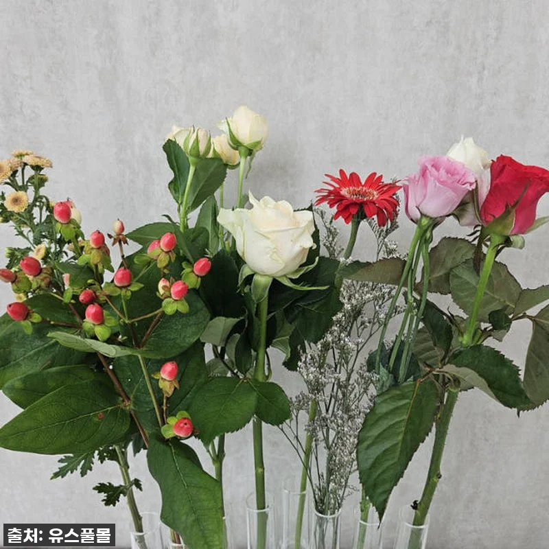 이 가격에 이 싱싱함 실화? 유스풀몰 관련 이미지 5