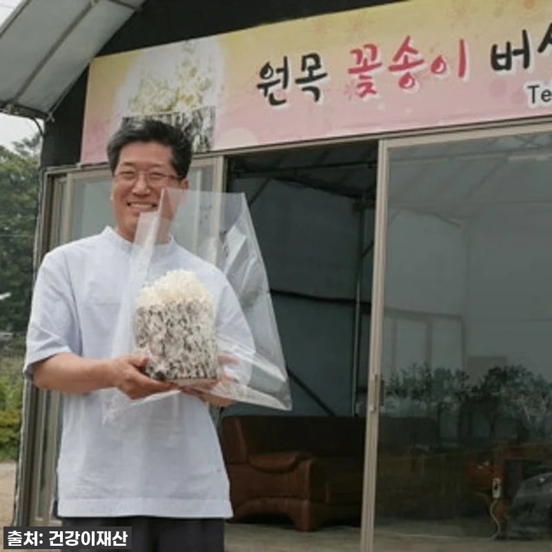 "이거 없으면 불안해!" 속 편안함의 관련 이미지 5