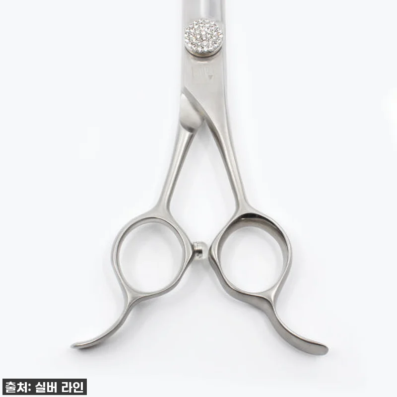 우리집 댕댕이 미용, 미용실 맡기지 관련 이미지 4