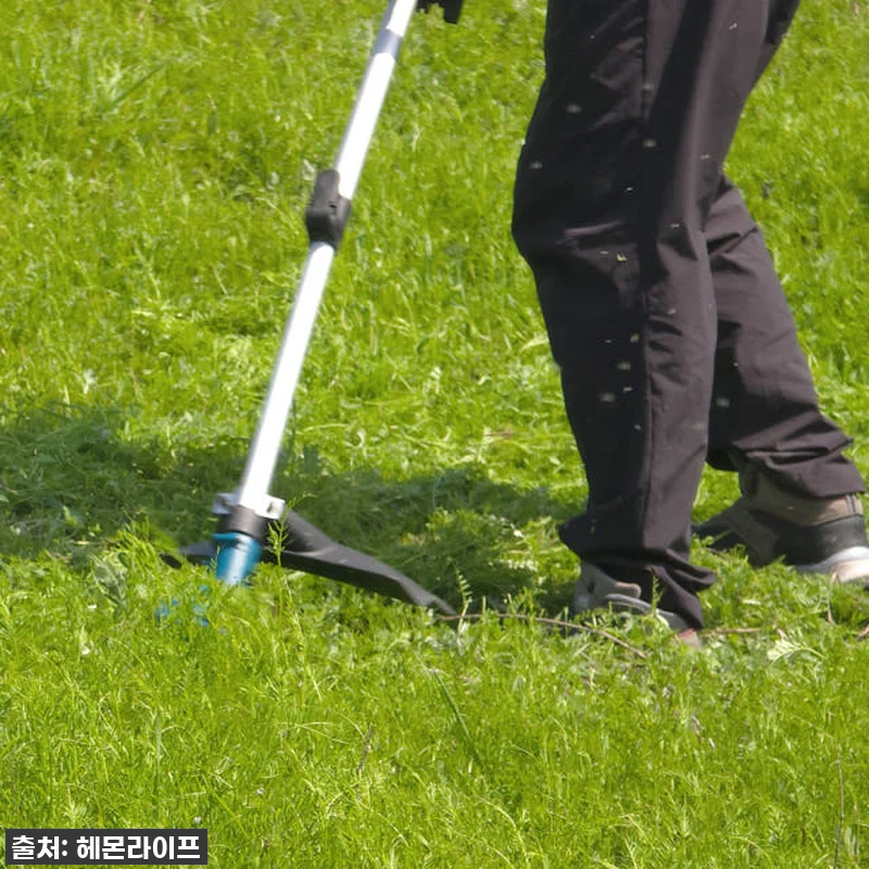 내 텃밭 관리, 이제 힘들지 않아요! 관련 이미지 4