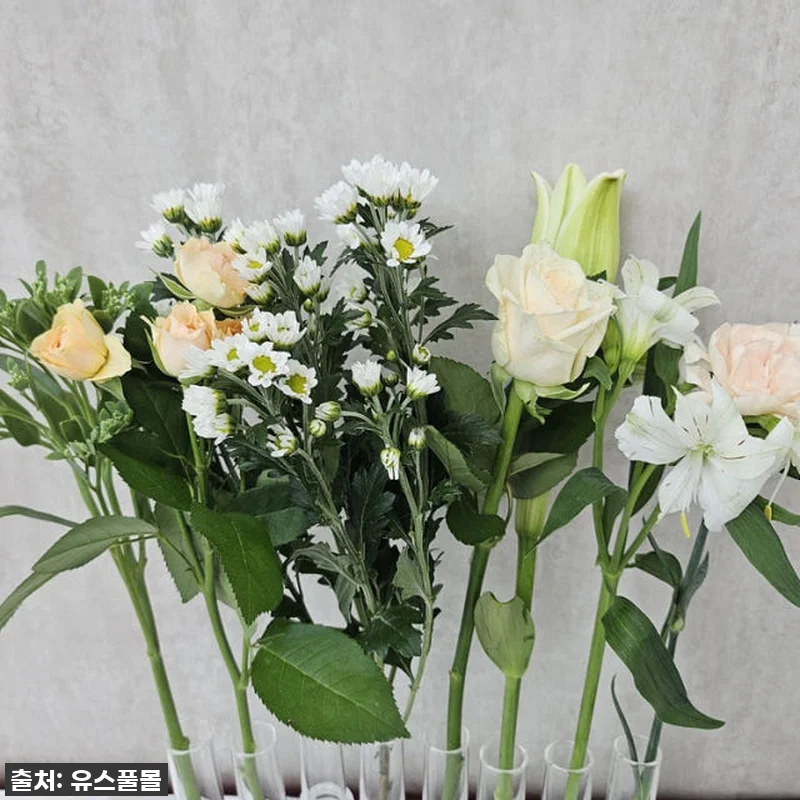 이 가격에 이 싱싱함 실화? 유스풀몰 관련 이미지 6