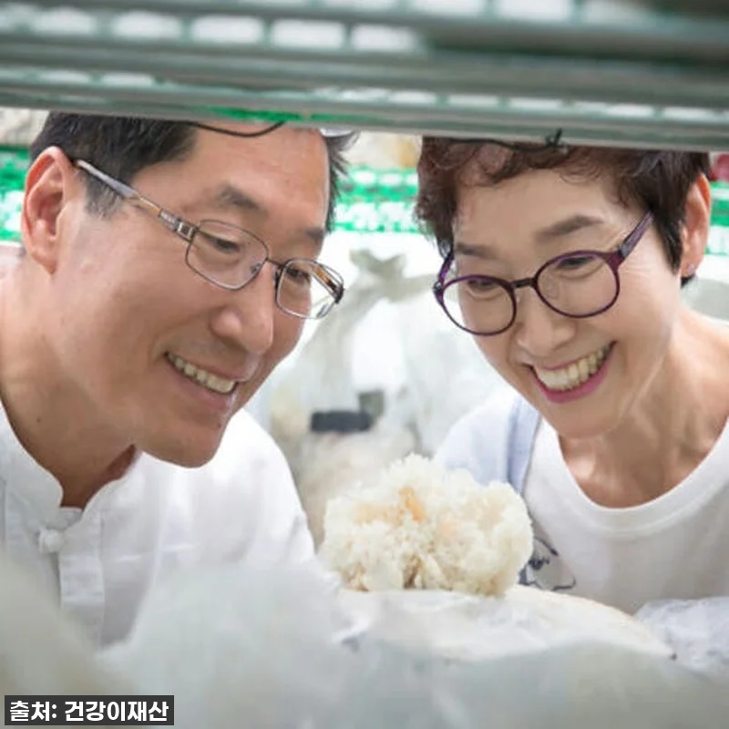 "이거 없으면 불안해!" 속 편안함의 관련 이미지 6