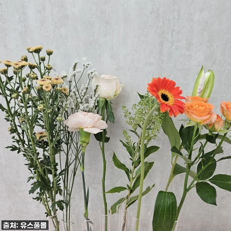 이 가격에 이 싱싱함 실화? 유스풀몰 관련 이미지 7