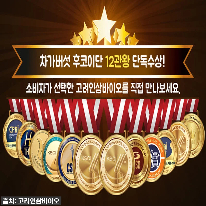 엄마도 댕댕이도 반한 역대급 활력템! 관련 이미지 7