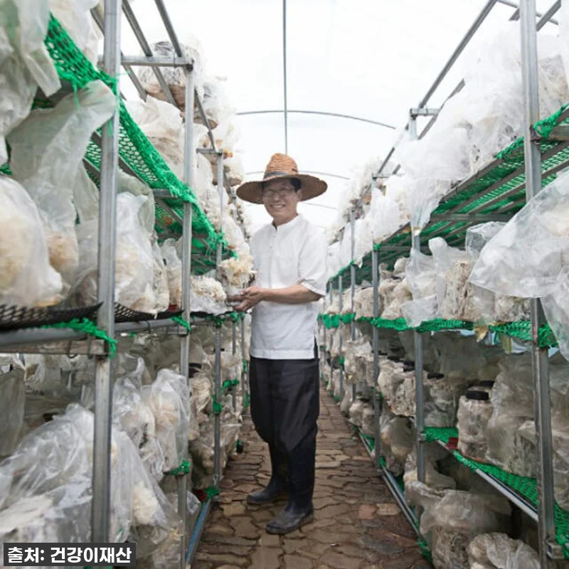 "이거 없으면 불안해!" 속 편안함의 관련 이미지 7