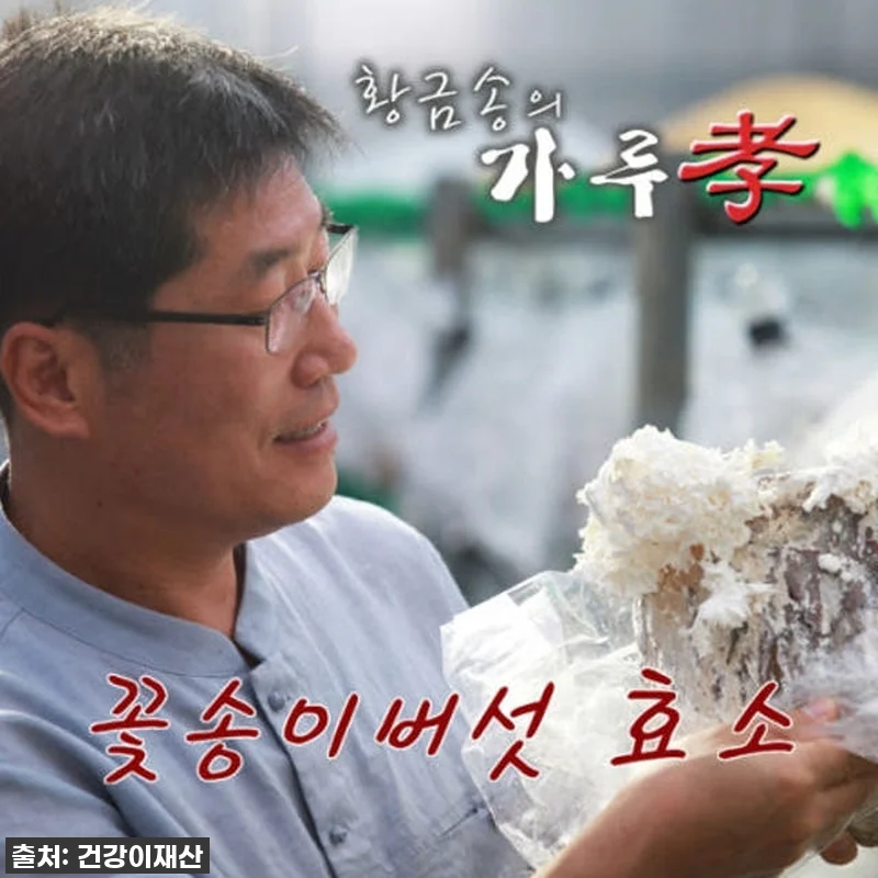 "이거 없으면 불안해!" 속 편안함의 관련 이미지 9