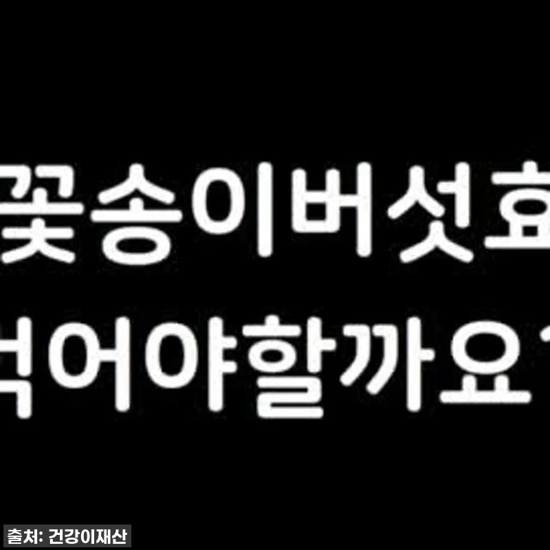 "이거 없으면 불안해!" 속 편안함의 관련 이미지 10