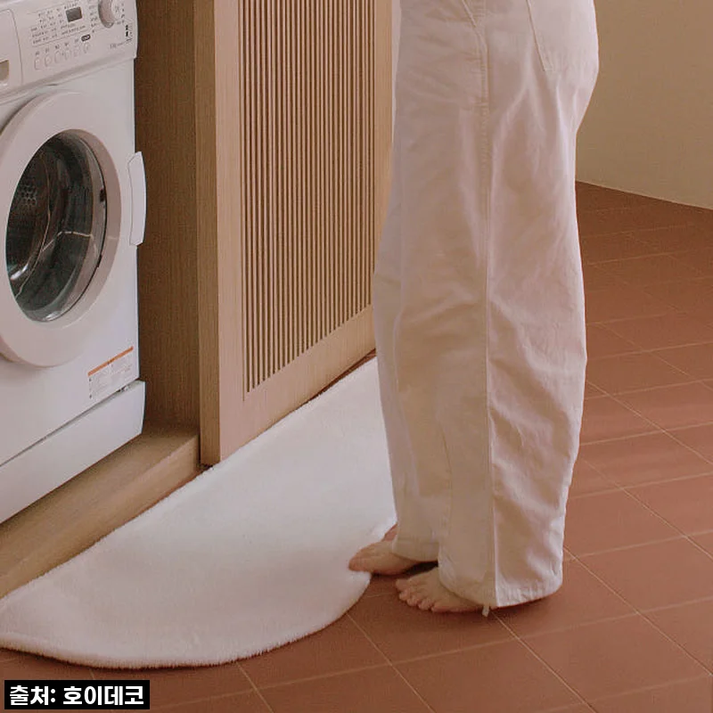 이 가격 실화?! 호이데코 코지 비정형 카페트, 비염러도 만족한 솔직 후기! ✨ (품절임박템)