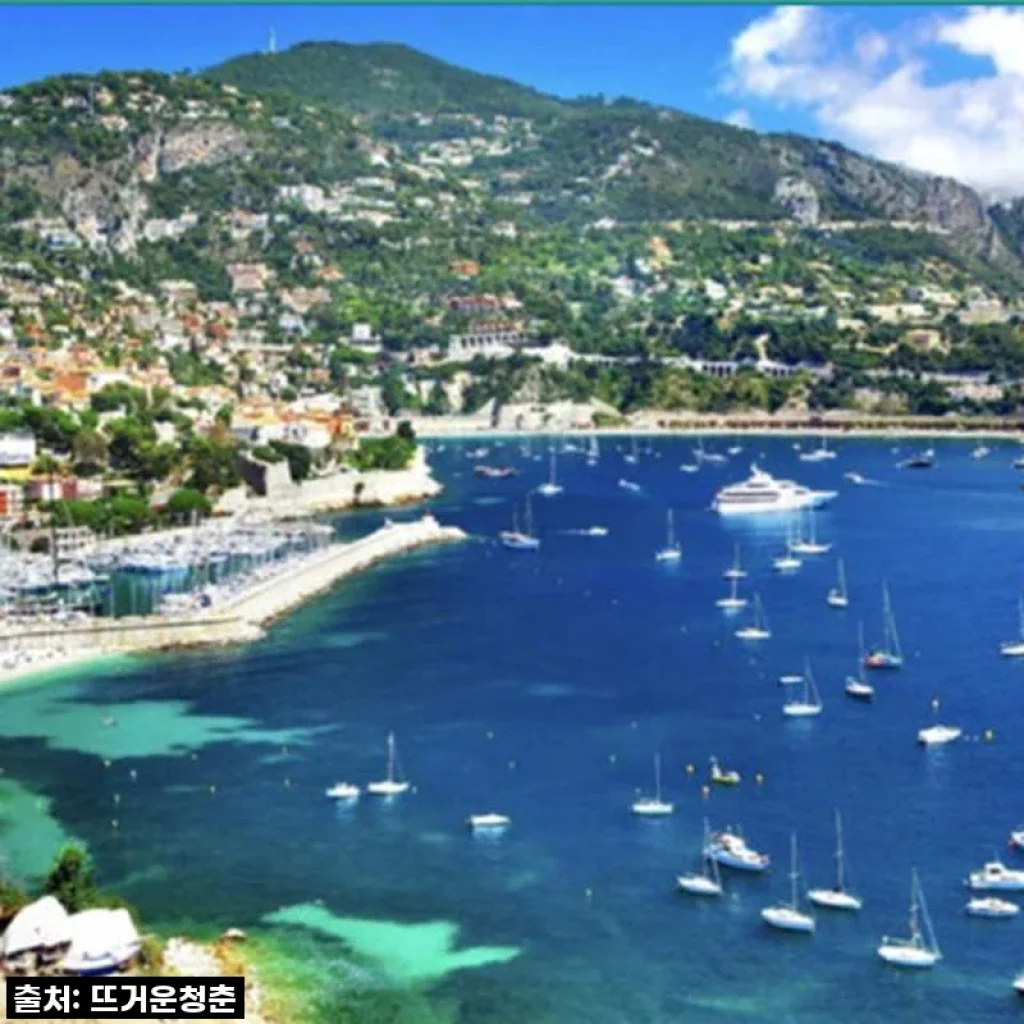 꿈만 같던 프랑스 남부, 니스부터 그라스까지! 전용차 1일 투어로 인생샷 제대로 건졌어요!
