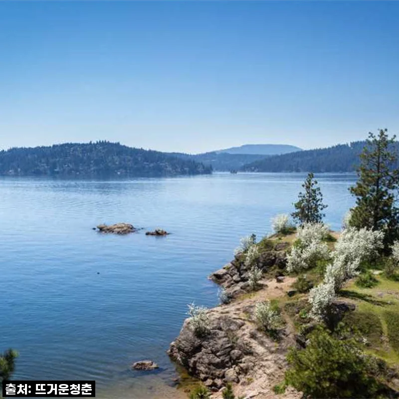 꿈에 그리던 옐로스톤! 시애틀 출발 4박 5일, 이 가격 실화인가요?!